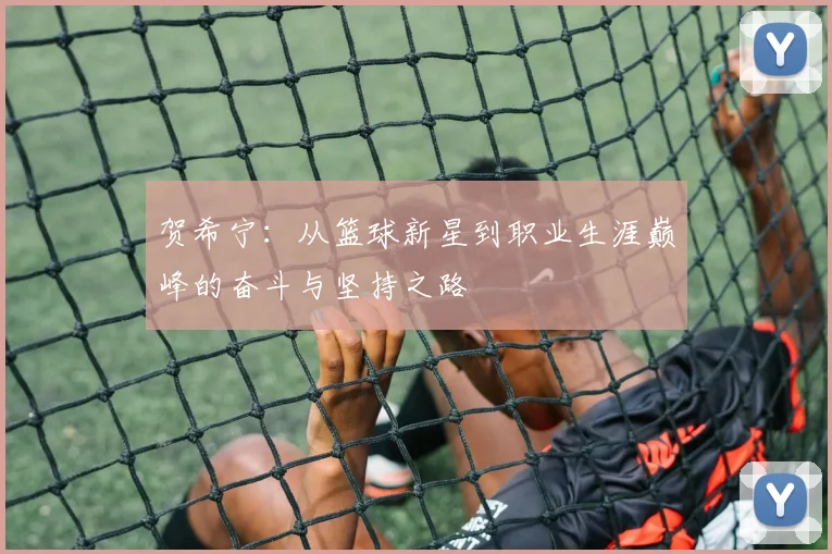 贺希宁：从篮球新星到职业生涯巅峰的奋斗与坚持之路
