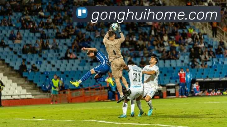 BG大游APP 封面图